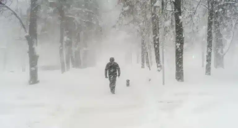 На юге и востоке Казахстана ожидаются сильные снегопады и гололед