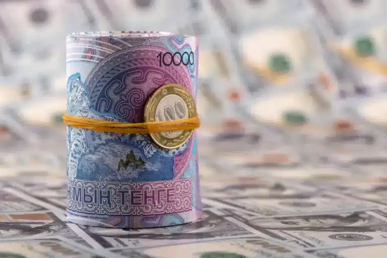 Қазақстанның сыртқы борышы: кімнен алдық, қайда жұмсадық