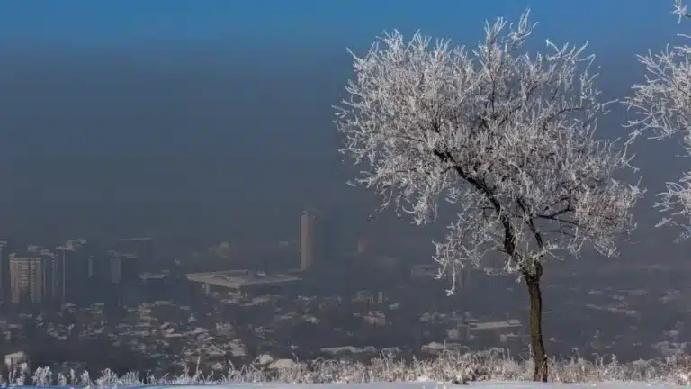 Табиғатты қорғаудан гөрі оны құртуға 30 есе көп қаржы жұмсалады – БҰҰ