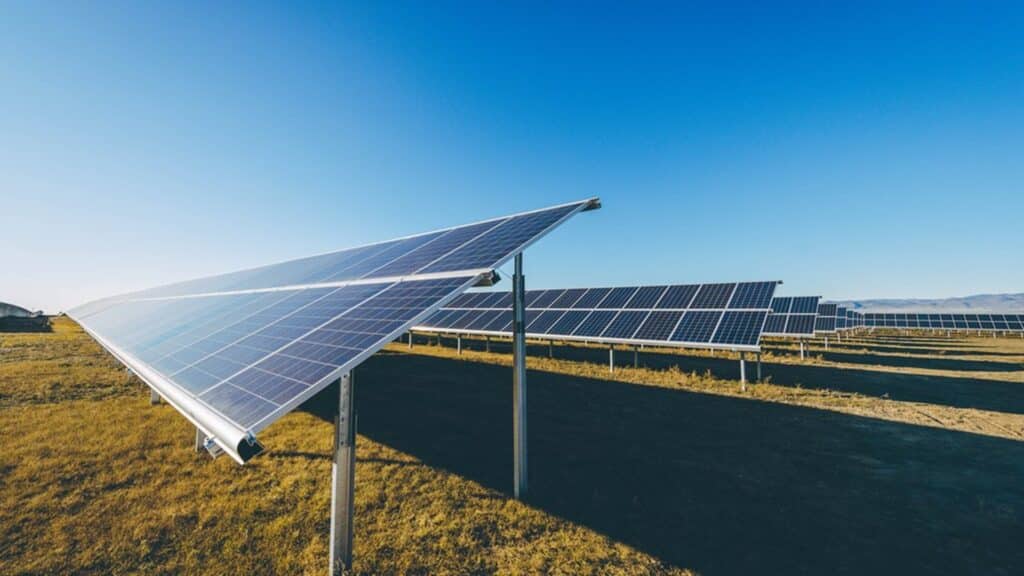 фото: shutterstock