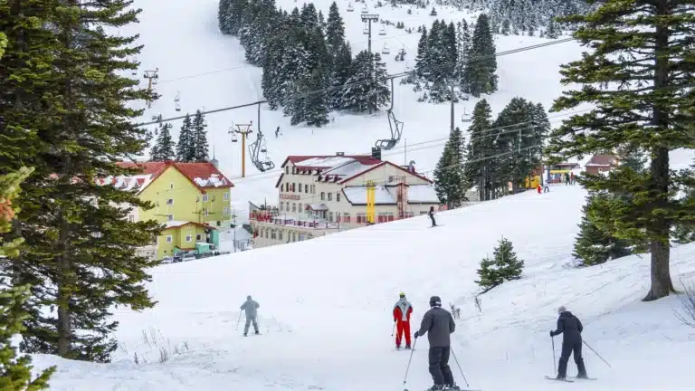 Кәсіпкерлерге тау-шаңғы курорттары жабдығына 25%-ға дейін өтемақы төленеді