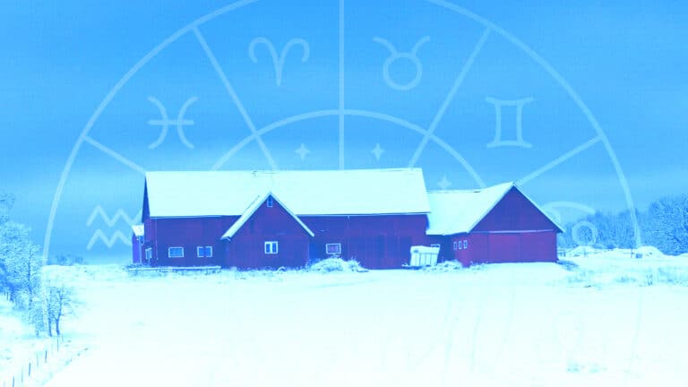 Гороскоп на 13 января: кому стратегия, а кому - подсказки интуиции