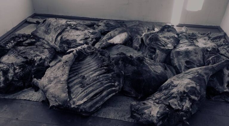 Четверо мужчин отстреливали скот в Алматинской области