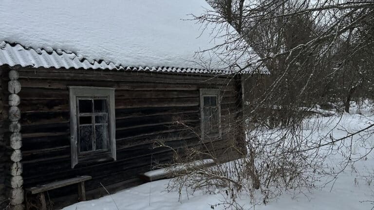 Целую деревню выставили на продажу за 5 млн тенге в Беларуси