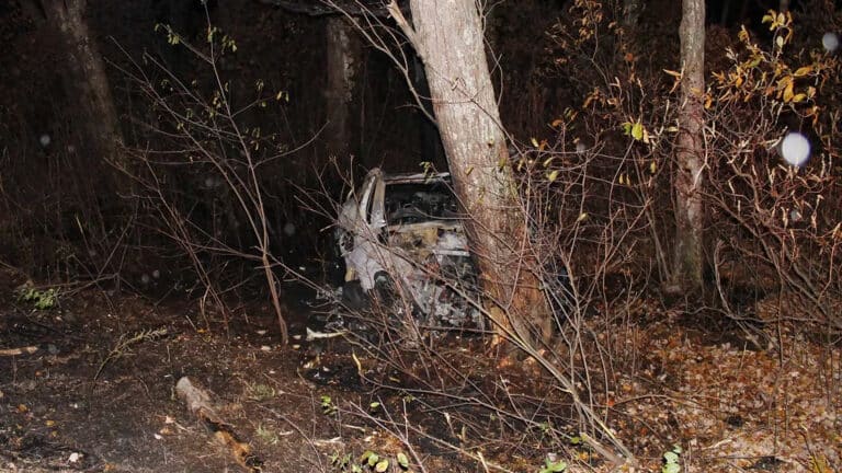 15 смертельных аварий с Tesla выявили проблему дверей