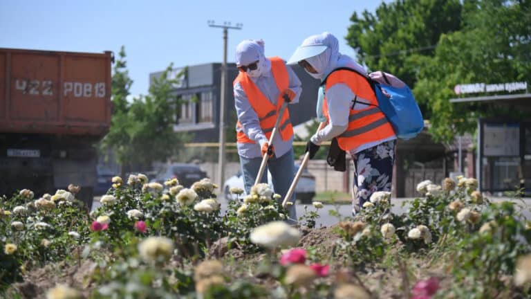 В Шымкенте высадят более 3,5 млн цветов этой весной