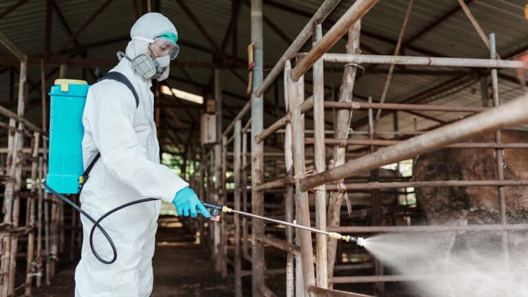 Запрет на ввоз мяса из России в Казахстан связан с угрозой эпидемии