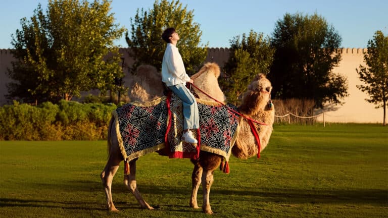 Димаш Кудайберген показал атмосферные кадры с верблюдом в Туркестане