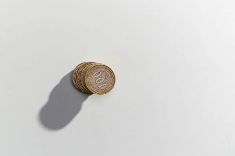 Теңгенің мәртебесін Конституцияда бекіту ұсынылды