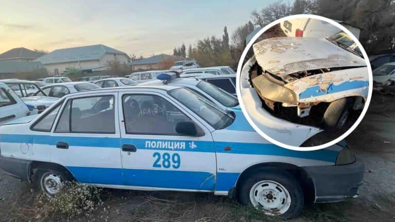Жетісу облысының полициясы жүзден аса соғылған көлікті саудаға шығарды