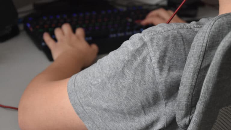 Школьник из Астаны рассылал ложные угрозы о терактах под влиянием анонимов в сети