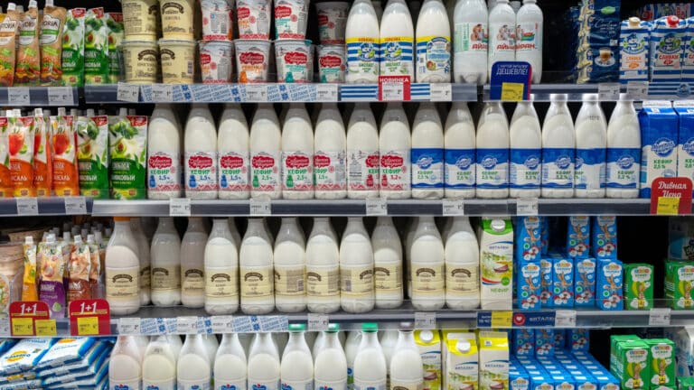 Молочные продукты из Беларуси могут подорожать для казахстанцев