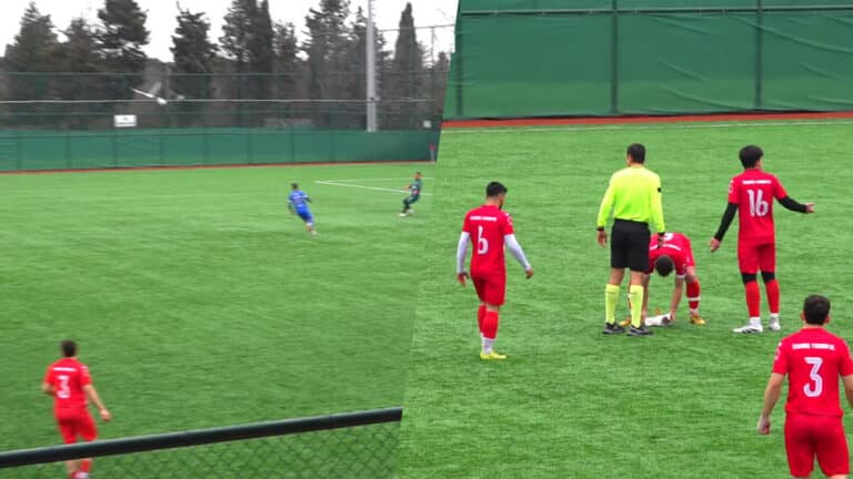 Seagull struck by ball gets on-pitch CPR in Turkish football match