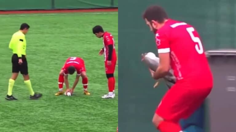 Футболист из Турции прервал игру ради спасения чайки и вызвал уважение по всему миру