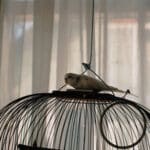 MUNCH кофейня Алматы