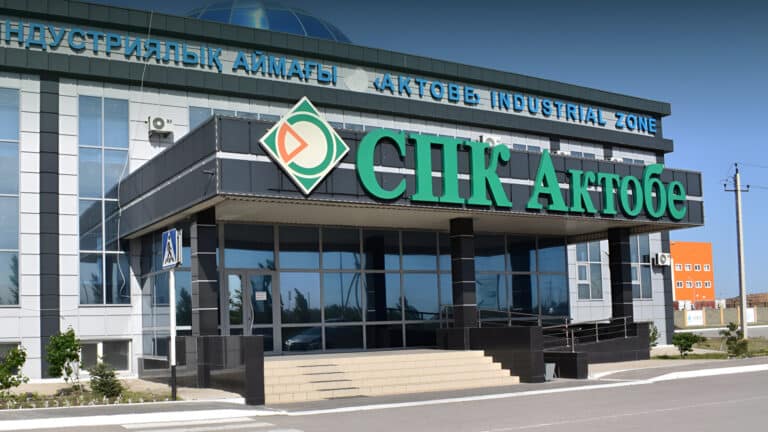 Директора «Правительства для граждан» исключили из госструктуры