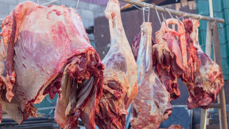 Казахстанец с 3 тыс. лошадей хочет поставлять конину за $15 в Японию