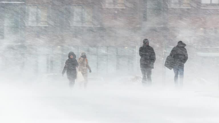 Сильные морозы ударят по южным областям Казахстана