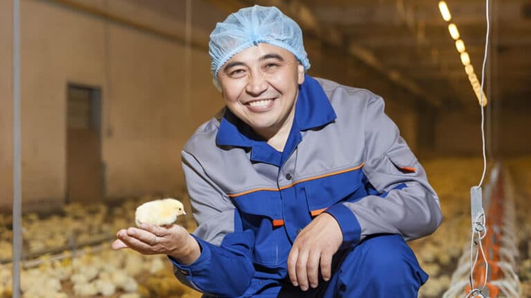 Миллионер из Forbes Толукпаев модернизирует птицефабрику за 4,6 млрд тенге