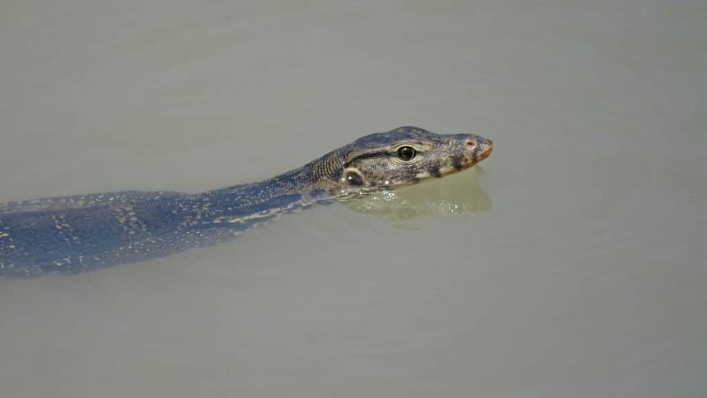 Фото: unsplash.com, бильд-редактор: Адэлина Мамедова