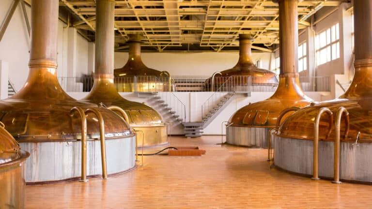 Как Алагузов будет развивать бывший пивной завод Тулешова в Шымкенте