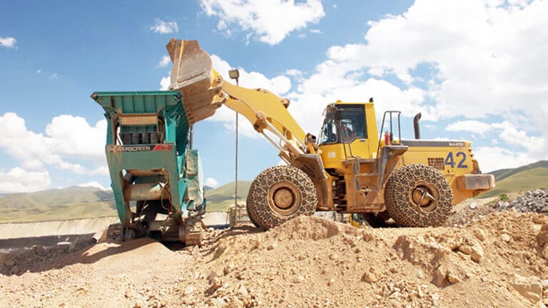 Золотодобывающая компания семьи миллионера сменила главу