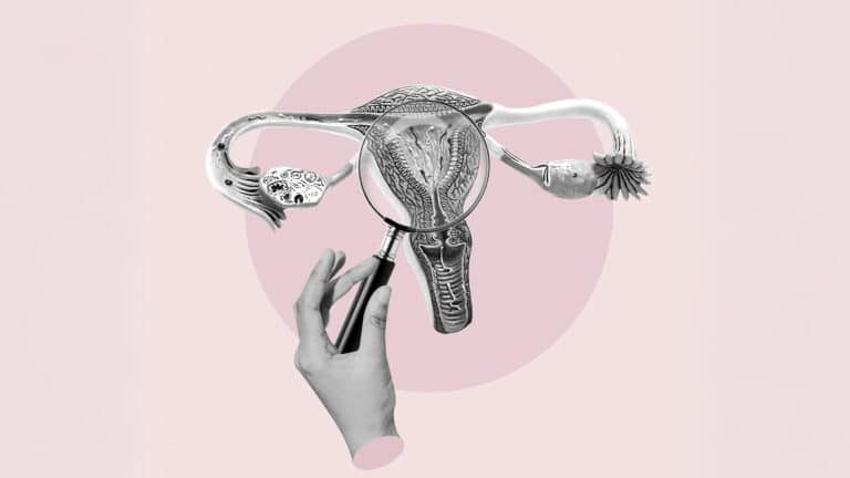 5 мифов о женских половых гормонах