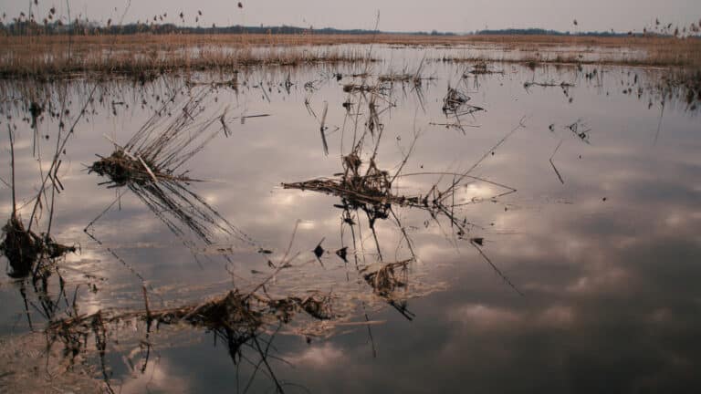 Казгидромет назвал регионы с высоким риском паводков весной