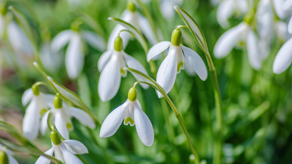 Фото: unsplash.com, бильд-редактор: Дастан Шанай