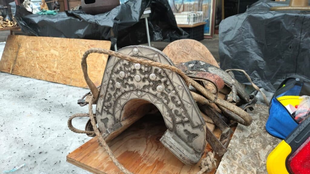 Күміс ер / фото: Шадияр Өстемір