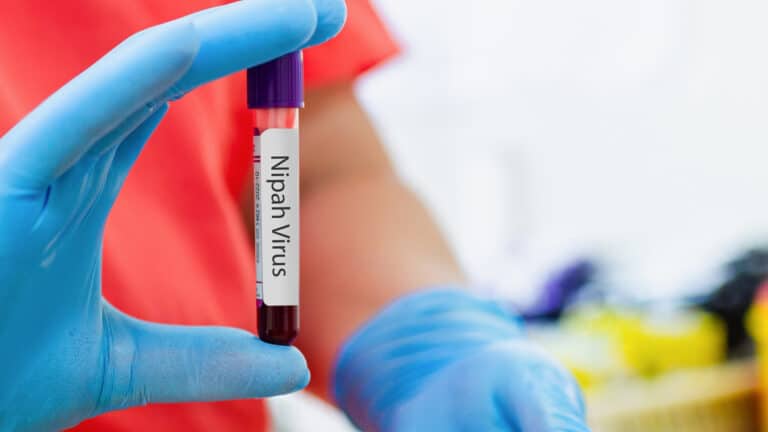 Казахстанским туристам рассказали, как защититься от вируса Нипах