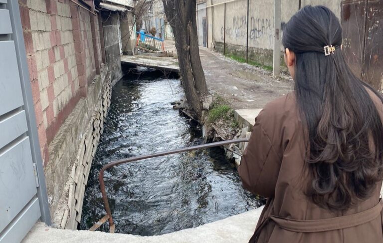 Экологи объяснили посинение воды в реке и замор рыбы в Шымкенте