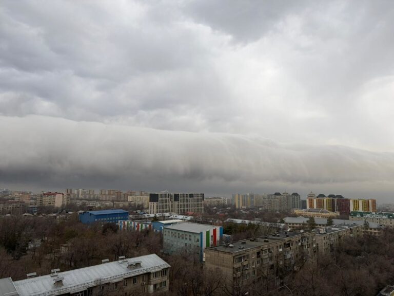 Сильный ветер обрушился на Алматы 21 февраля