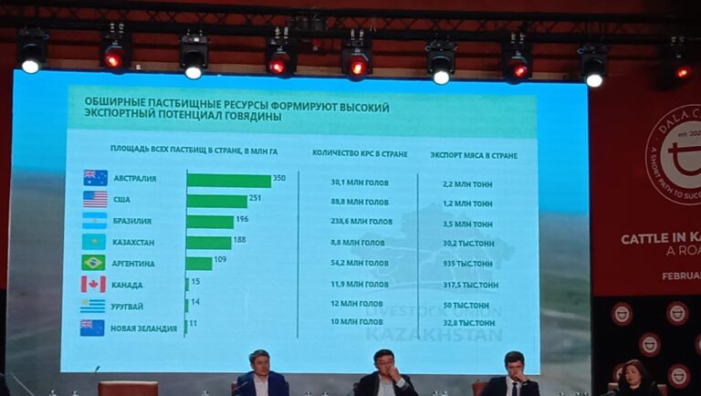 Миллиарды долларов сможет зарабатывать Казахстан на экспорте мяса в ближайшие годы