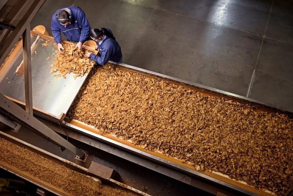 Түркістан, жасырын цех, снюс