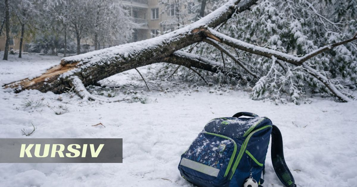 Школьник погиб во дворе дома в Шымкенте: на него упала ветка дерева