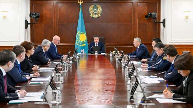 Жаңа Конституция жобасы жайлы жалған мәлімет таратқандар қатаң жазаланады – Үкімет