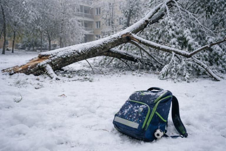 Школьник погиб во дворе дома в Шымкенте: на него упала ветка дерева