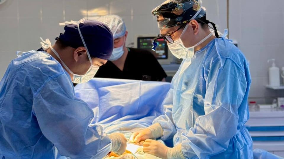 Бес дәрігер 7 сағат бойы жамбас сүйектерін қайта жинап шыққан / фото: Денсаулық сақтау министрлігі