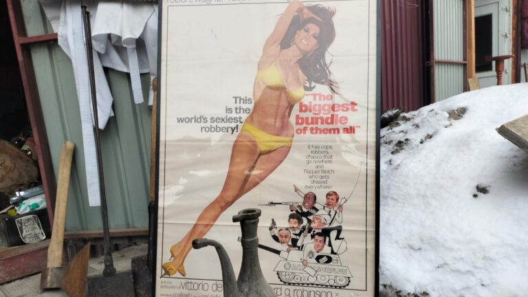 Шайтан базарды фильм түсіреміз деп кімдер тонап жүр (фото)