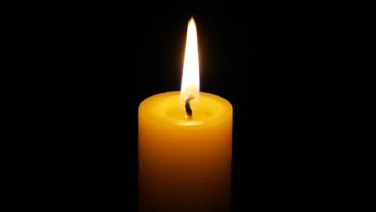 Қонаевтың жиені өмірден өтті