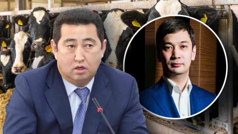 Мал шаруашылығының машақаты: ата кәсіп неге алға баспай тұр