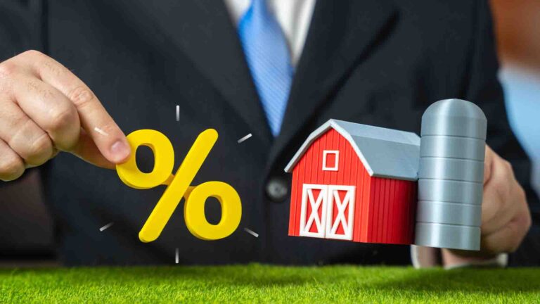 Ауыл шаруашылығы саласындағы жобаларды несиелеу ережелері өзгерді