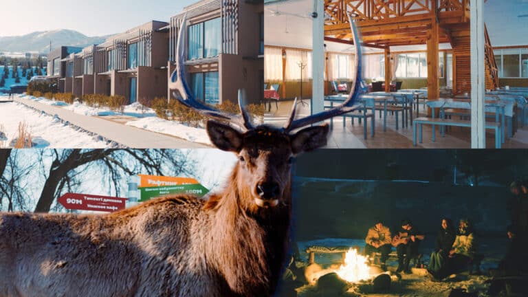 Живописный лагерь для взрослых по доступным ценам появился в предгорьях Алматы