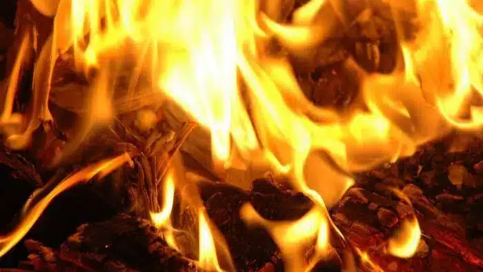 Ақтауда біреулер итті тірідей өртеп жібермек болды