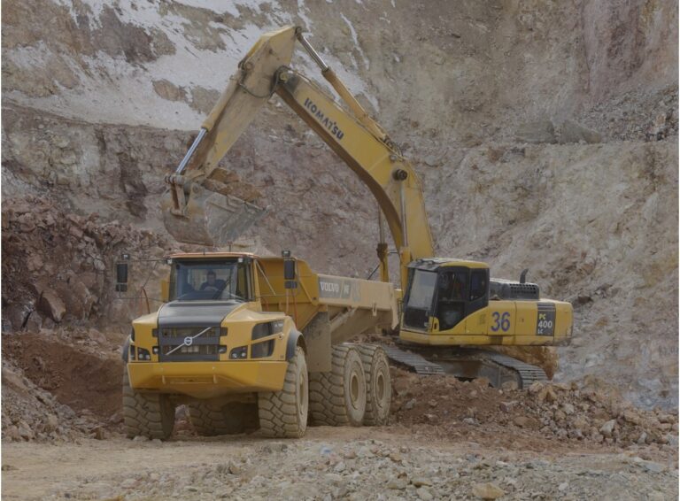 Мама миллионера стала основным владельцем золотодобывающей компании