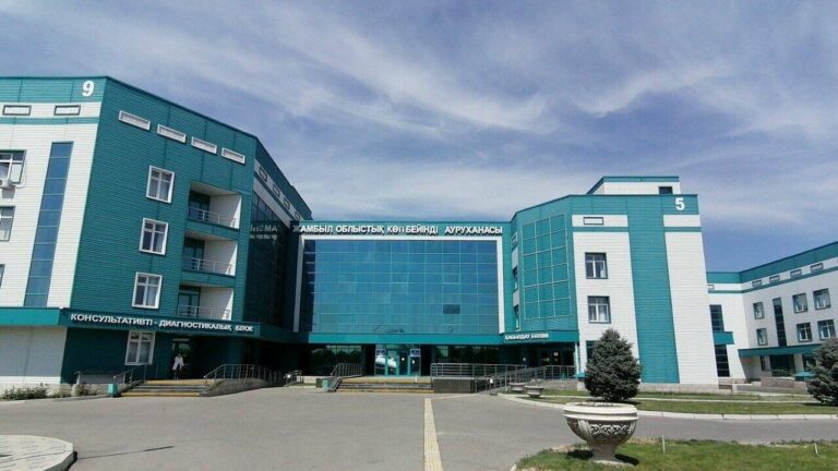 Минздрав проведет проверку после смерти роженицы в Жамбылской области