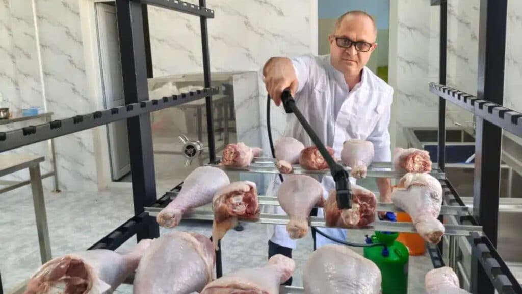 20 тәулікке дейін сақтауға болады: ғалымдар құс етіне арналған биоконсервант әзірледі