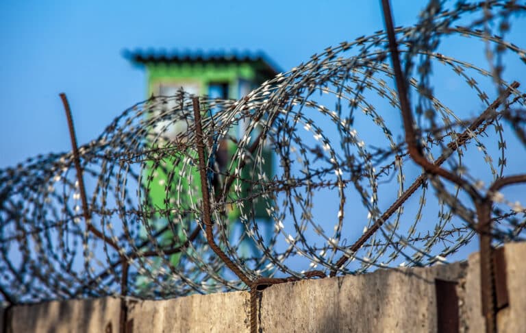 Скрытый патруль помешал обеспечить марихуаной колонию в области Абай