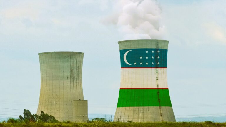 Қазақ елшісі өзбек АЭС-інің қауіпсіздігі мәселесін талқылады